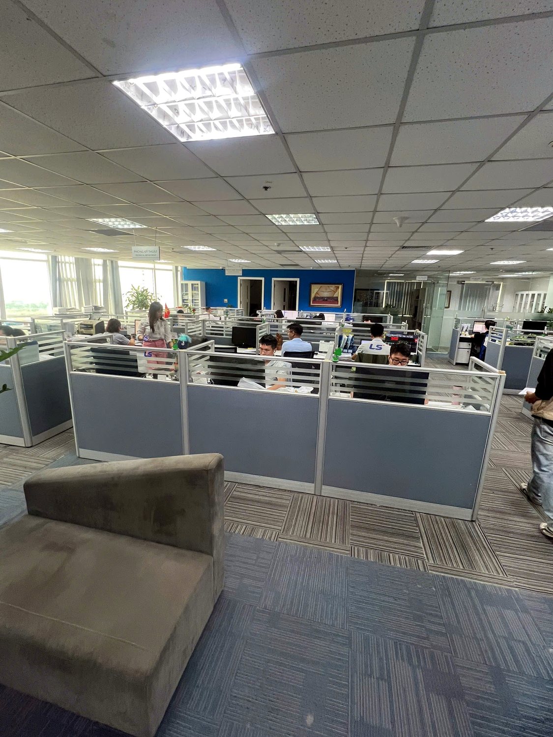 Thảm trải sàn